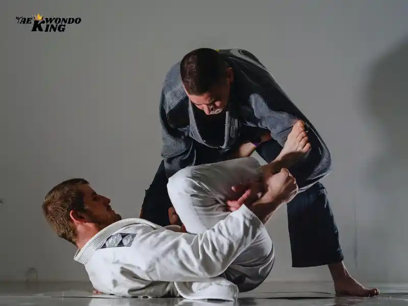 BJJ martial art works at real-life fights?
