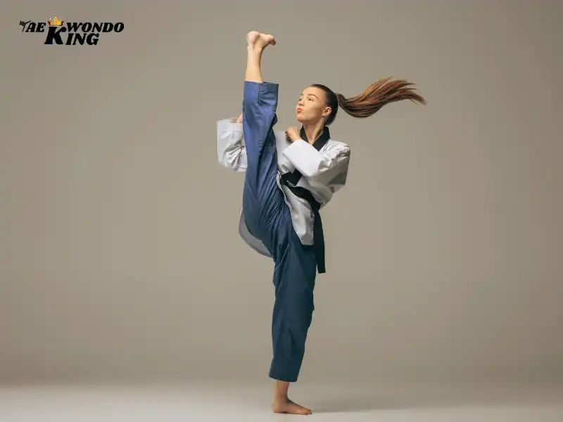 Best Top 10 USA Taekwondo Poomsae Ranking Recognized Poomsae Female Under 40 category Players Name