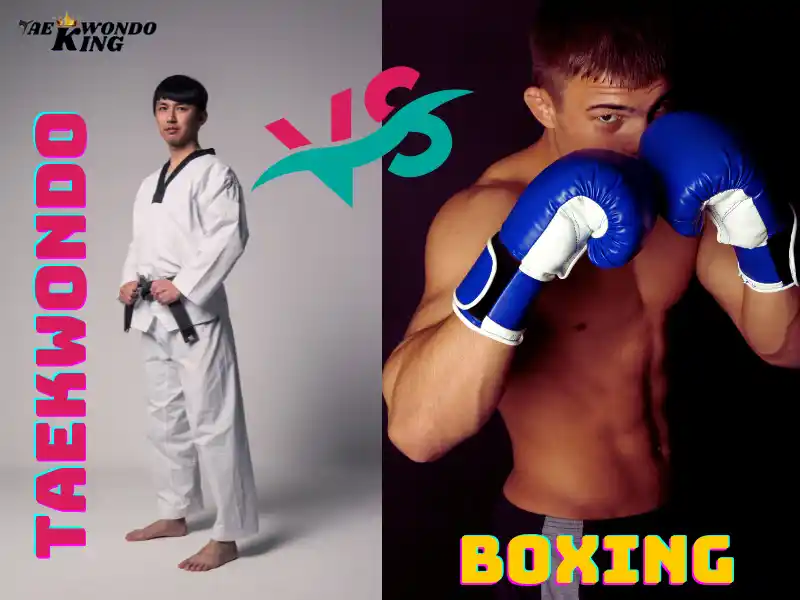 Can a Taekwondo fighter beat a boxer?