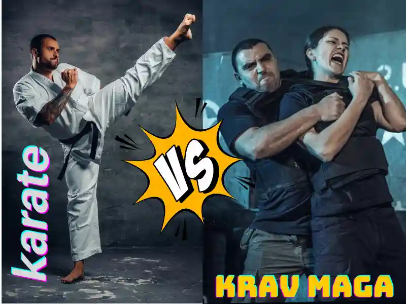 Compare and contrast the ethics and morality of Karate and Krav Maga