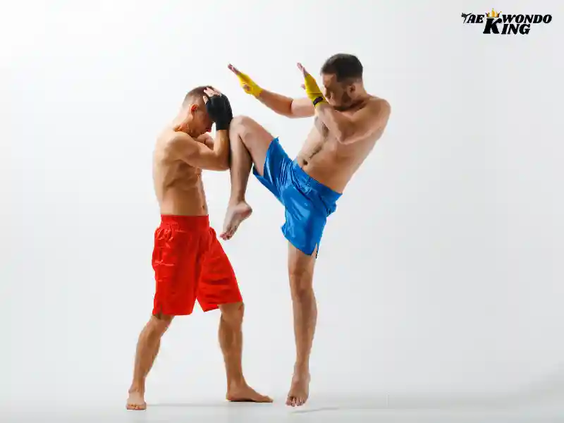 How does Muay Thai martial artwork?