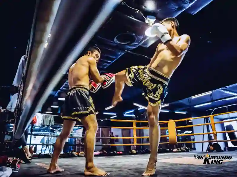 How to train for Muay Thai Martial art
