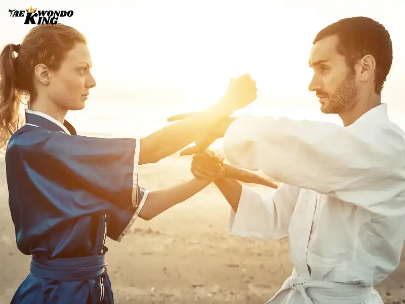 Kung fu martial art for women, taekwondoking