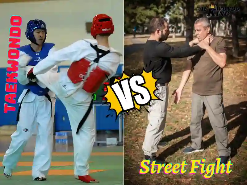 Street Fight vs Taekwondo, who is better?