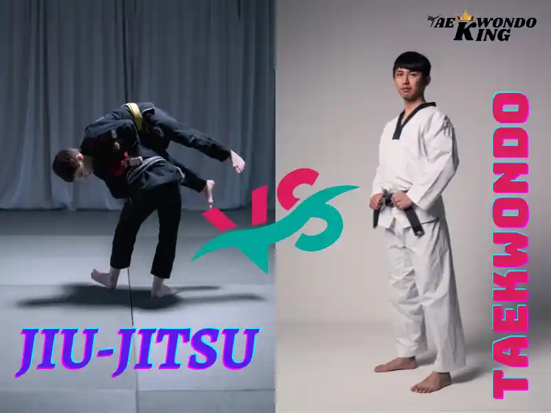 TKD or jiu-jitsu