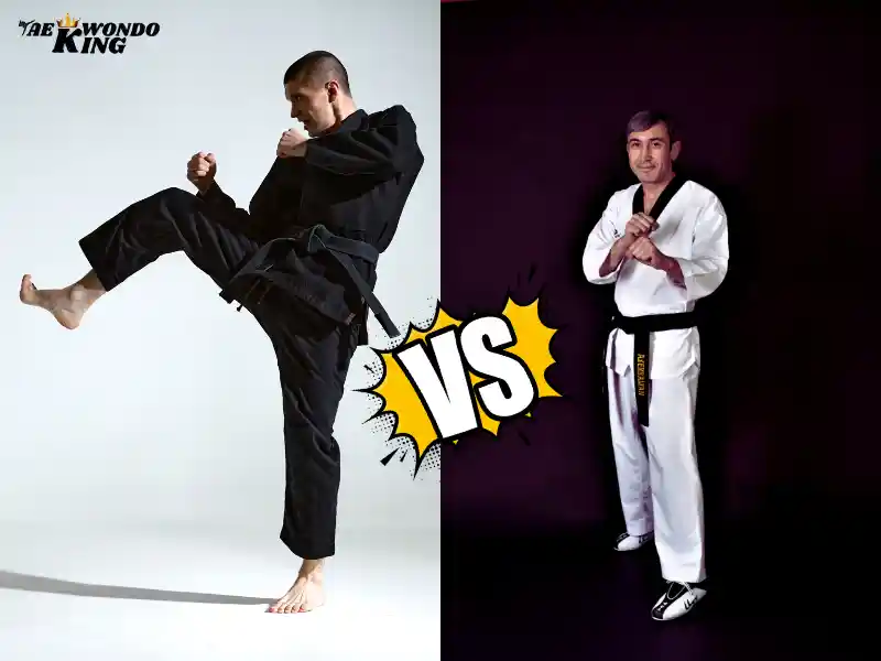 Determine which martial art is best suited for you. TKD or jiu-jitsu?