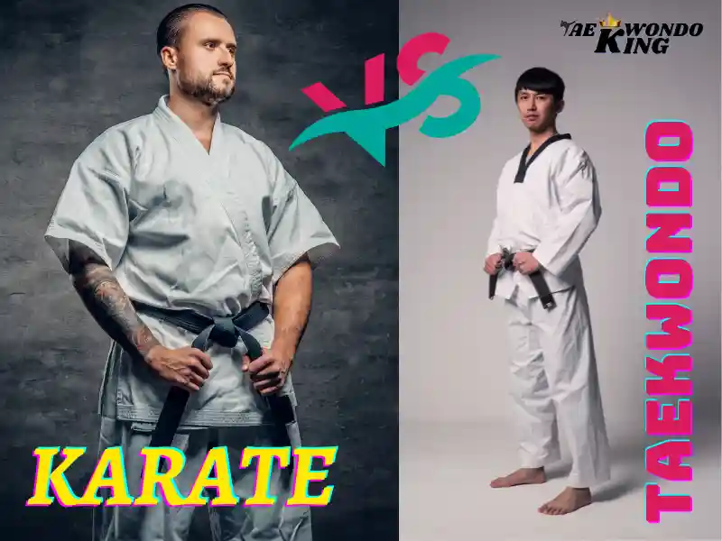 The Difference between Karate and Taekwondo, taekwondoking