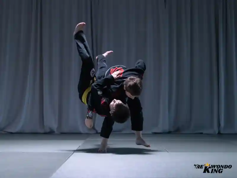 What is jiu-jitsu martial art?