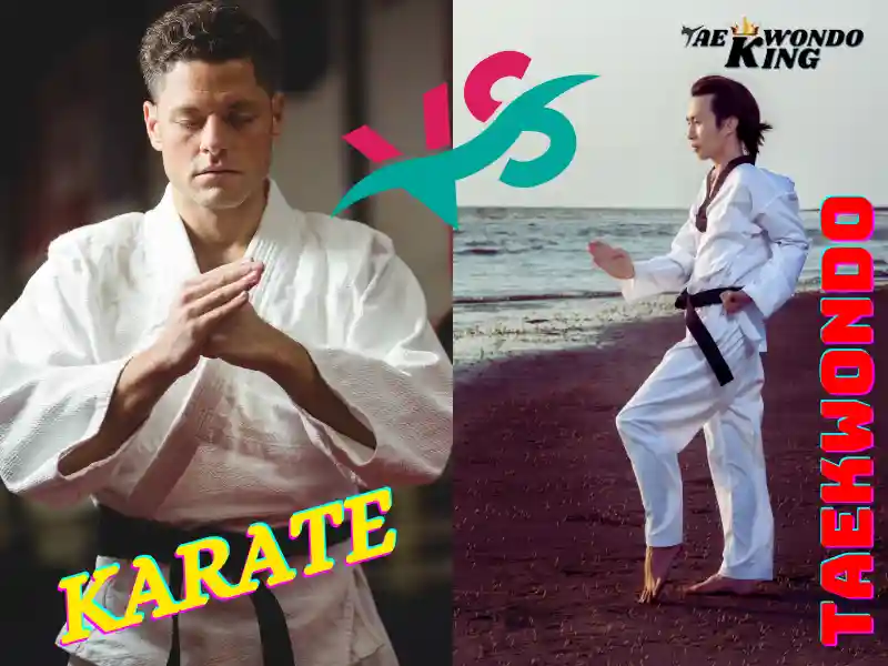The Difference between Karate and Taekwondo, taekwondoking