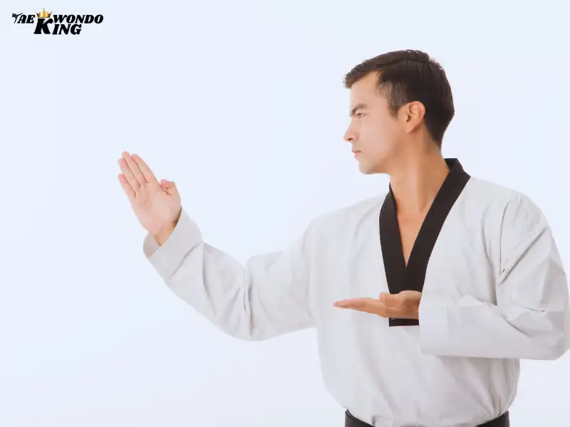 Why Would You Want to Learn Taekwondo Effective?