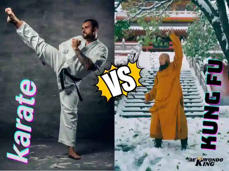 karate vs Kung fu? What is the difference?