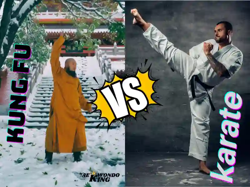 karate vs Kung fu? Which style is the best?