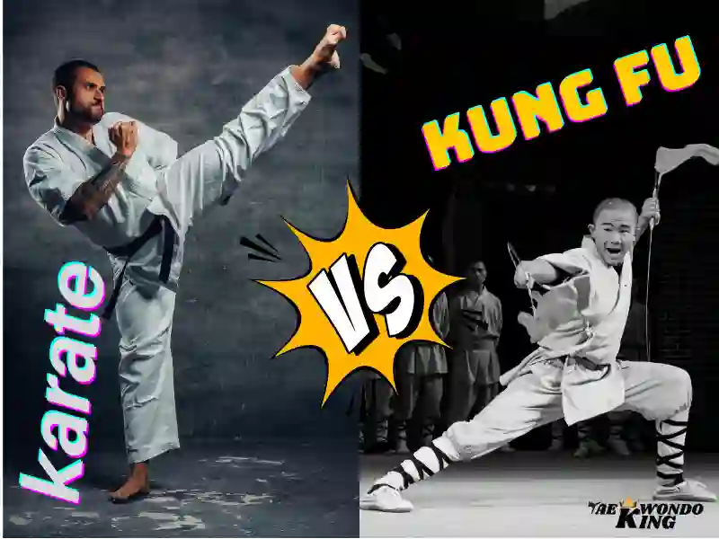 karate vs kung fu? Which style is better for beginners?