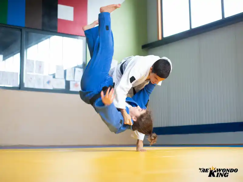 A Beginner’s Guide to Judo, taekwondoking