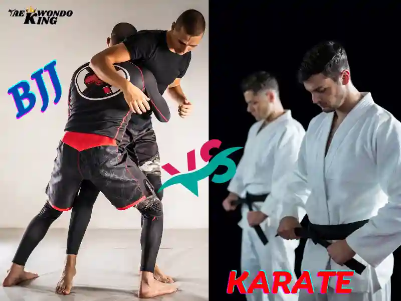 BJJ Beat Karate? Who is better? taekwondoking