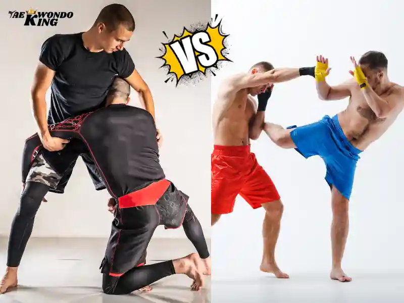 BJJ Beat Muay Thai? taekwondoking