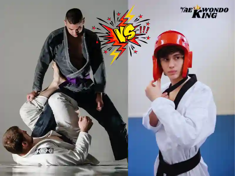 BJJ Beat Taekwondo? Who is better? taekwondoking