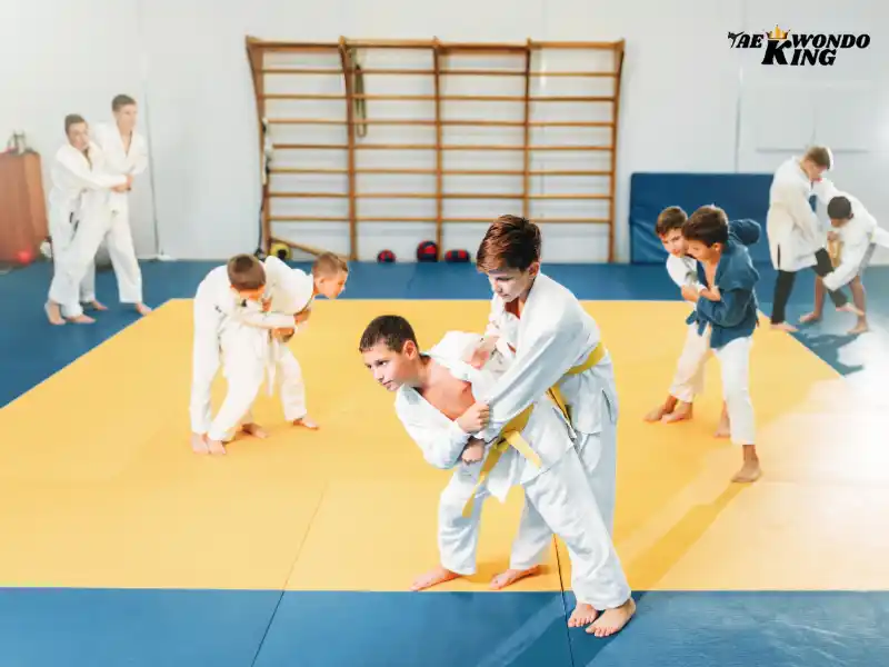 Beginner’s Guide to Judo Training Regimen