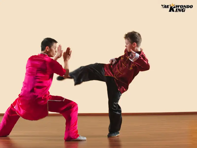 Benefits of Practicing Beginner’s Guide to Kung Fu, taekwondoking