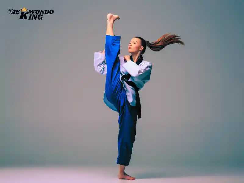 Front Kick (Ap Chagi), taekwondoking, Taekwondo Kicks Names With Pictures