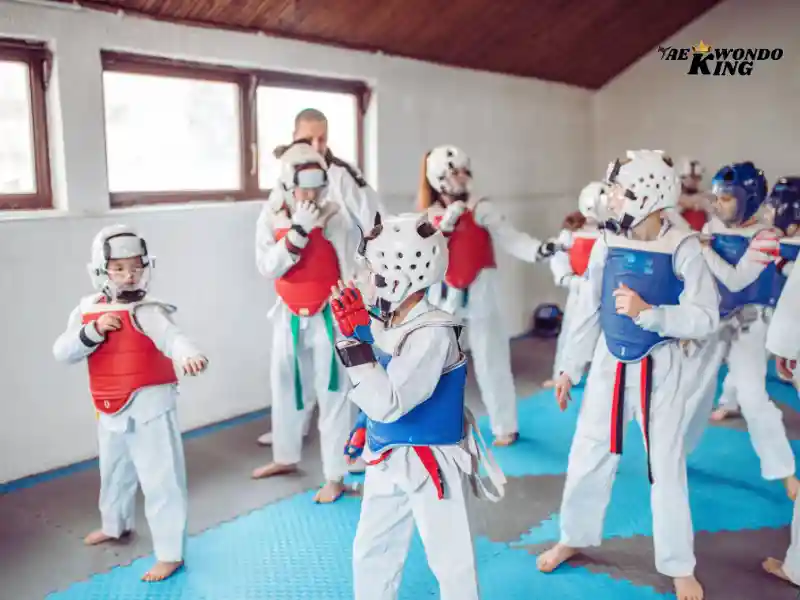 Mirrors and Training Aids Equipment Used in Taekwondo