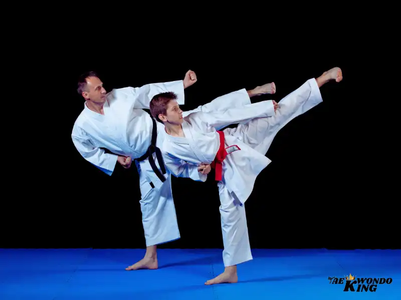 Origins and History of Karate, taekwondoking
