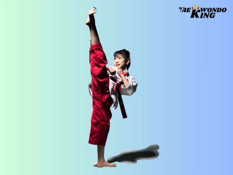 Roundhouse Kick (Dollyo Chagi), taekwondoking, Taekwondo Kicks Names With Pictures