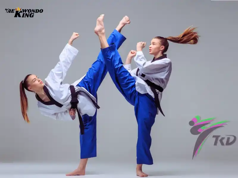Taekwondo Kicks Names With Pictures