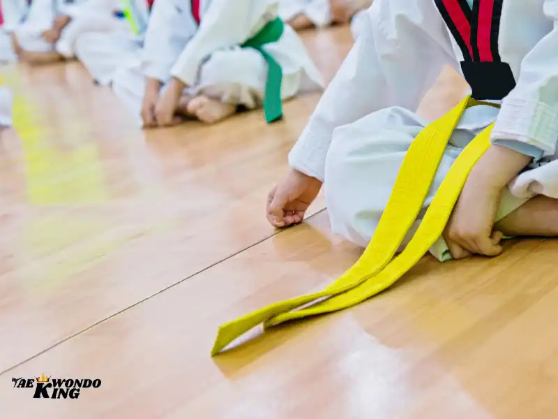 The Taekwondo Belt Levels A Symbol of Progress