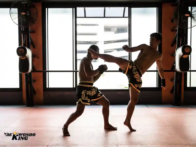 Training Regimen in Muay Thai, taekwondoking
