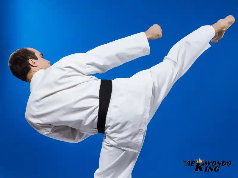 Is Taekwondo Kick Hard? taekwondoking