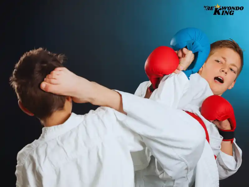 Karate is better than Boxing, taekwondoking