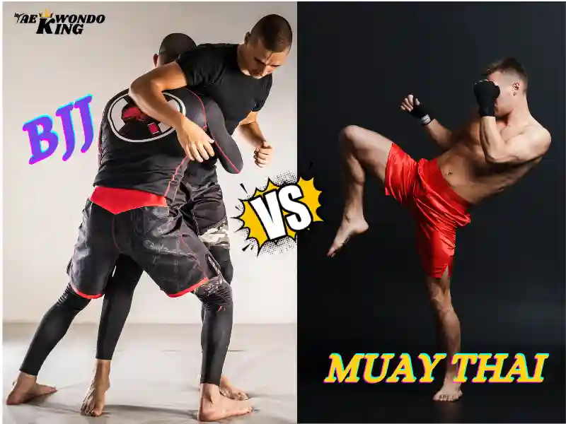 What is the difference between Muay Thai and BJJ? taekwondoking