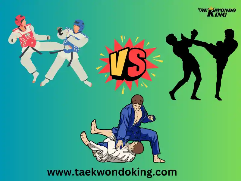 BJJ vs Kickboxing vs Taekwondo Origins and Histories, taekwondoking