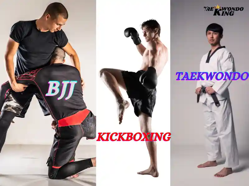 BJJ vs Kickboxing vs Taekwondo What is Better?