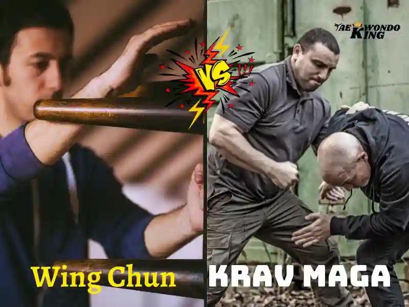 Can Wing Chun Beat Krav Maga?