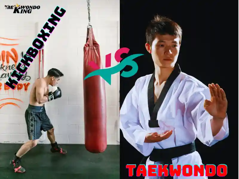 Choosing Between Taekwondo and Kickboxing, taekwondoking
