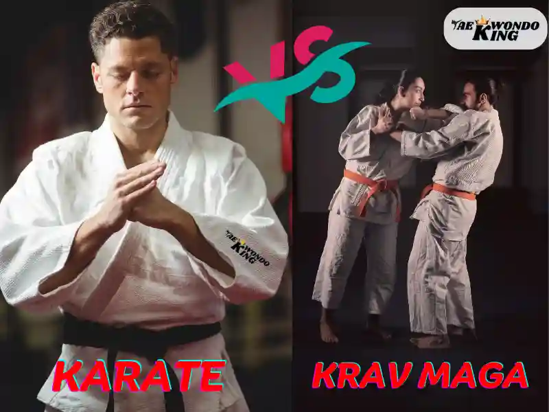 Key Differences Between Krav Maga and Karate, taekwondoking