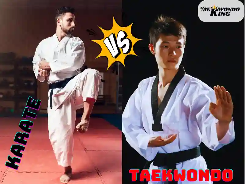 Overview of Karate and Taekwondo, taekwondoking
