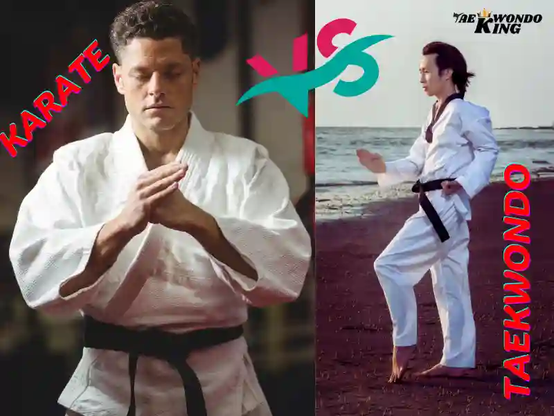 Similarities between Karate and Taekwondo, taekwondoking
