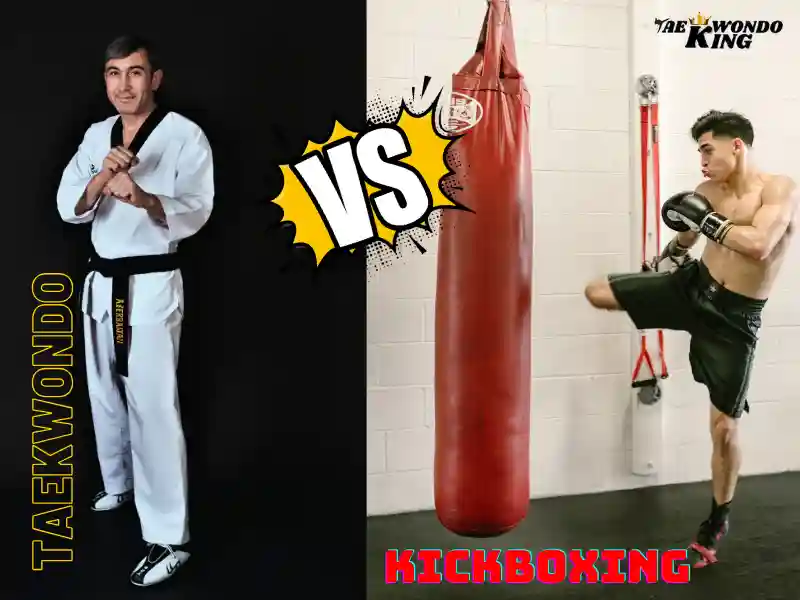 Taekwondo and Kickboxing Difference, taekwondoking