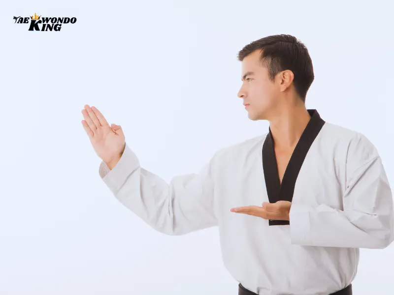 USA Taekwondo Poomsae November Ranking 2023. Taekwondoking