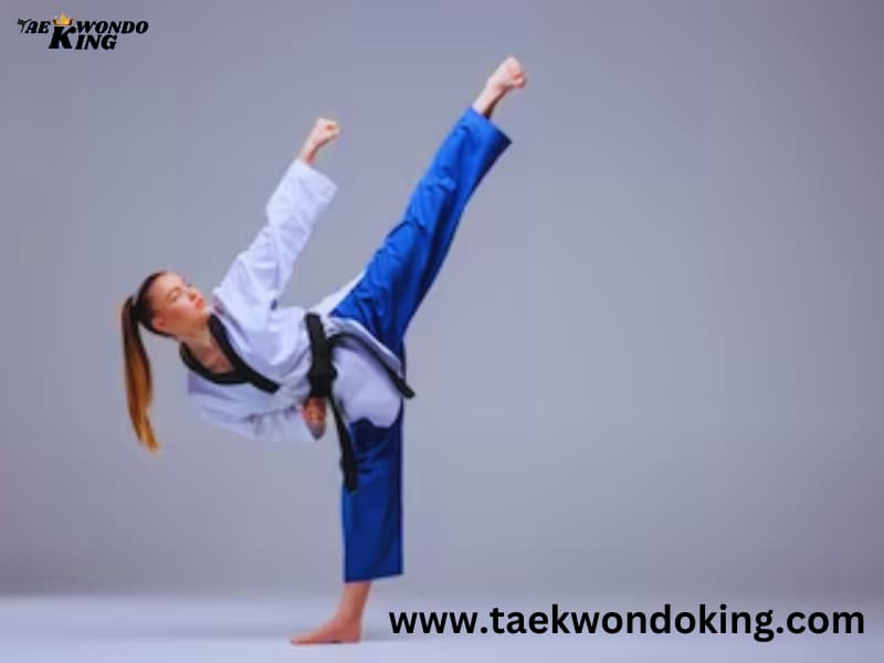 Best USA Taekwondo Poomsae World Ranking Freestyle Poomsae Female over 17. Taekwondoking