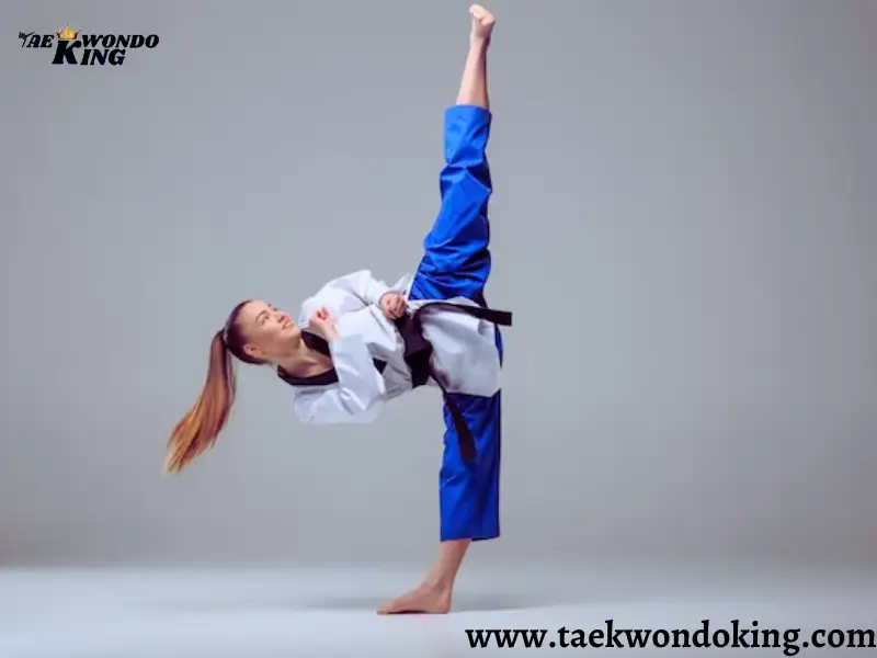 TaekwondoKing