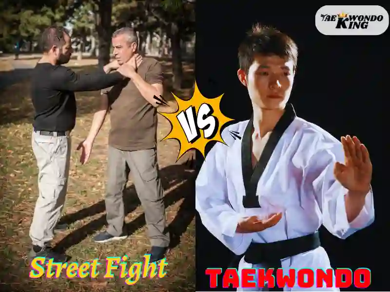 taekwondoking, Adapting Taekwondo for Street Fight Scenarios