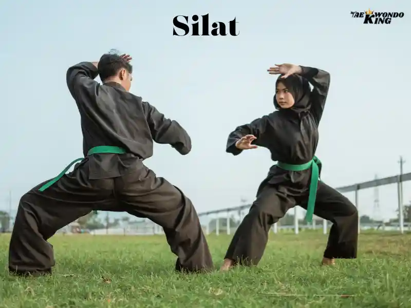 Delving into the Enigmatic Tapestry of Silat History