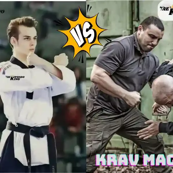 taekwondoking, Does Krav Maga Beat Taekwondo?