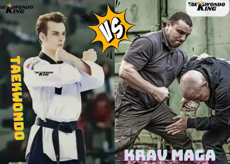 taekwondoking, Does Krav Maga Beat Taekwondo?