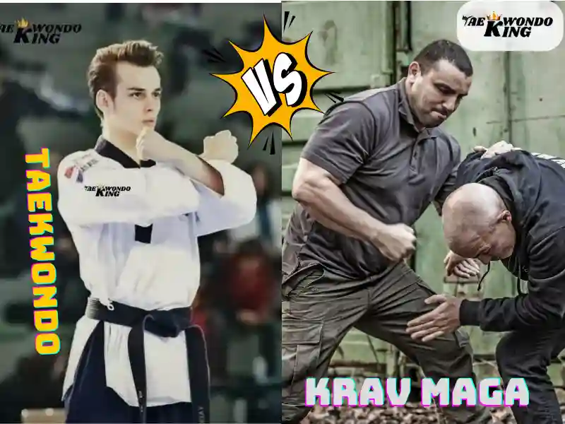 taekwondoking, Does Krav Maga Beat Taekwondo?