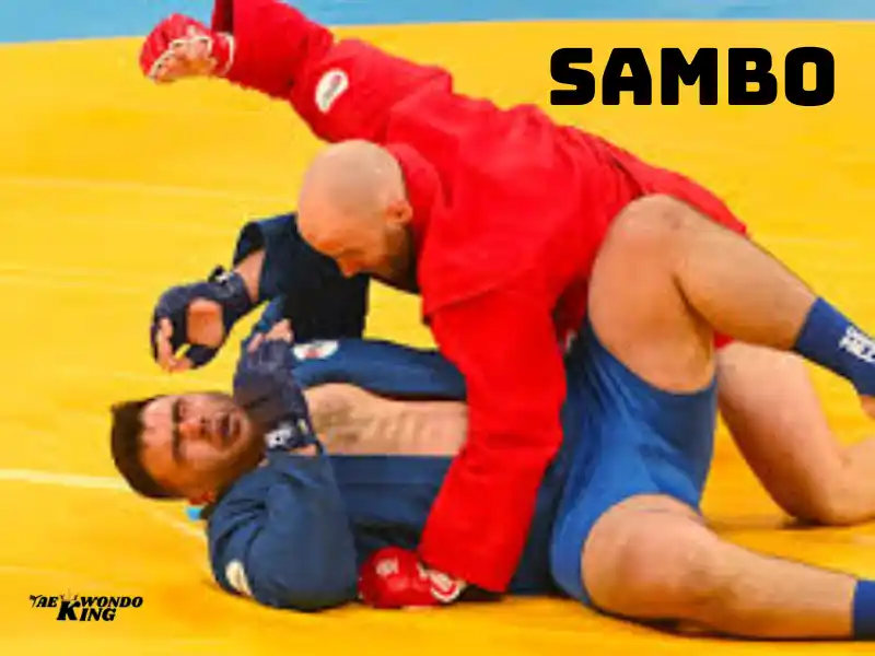 taekwondoking, Most Effective Martial Art in a Real Fight is Sambo